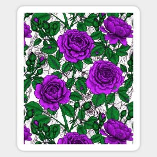 Purple roses 2 Sticker